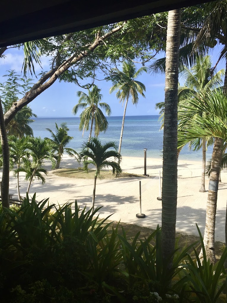 View of the beach and sea through coconut palms at The Shore at San Remigio