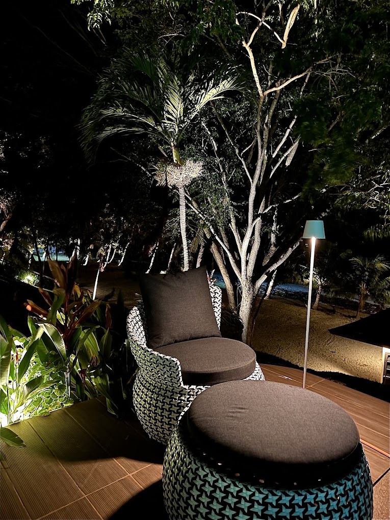 Outdoor lounge seating among palm trees at night